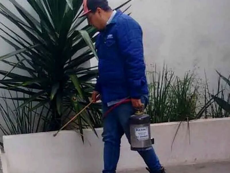 Fumigación Residencial México