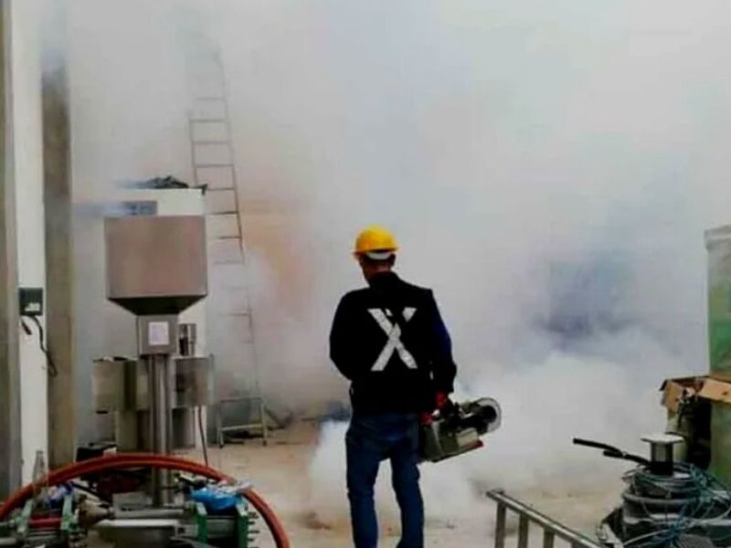 Fumigación Industrial México