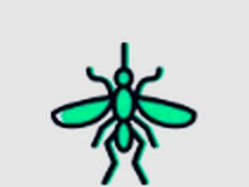 Fumigación Mosquito México