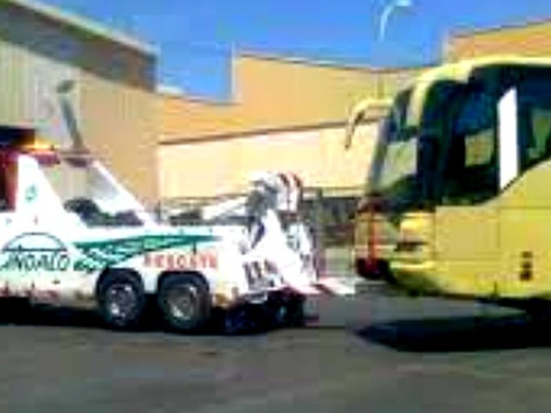 Gruas Autobuses Mexico