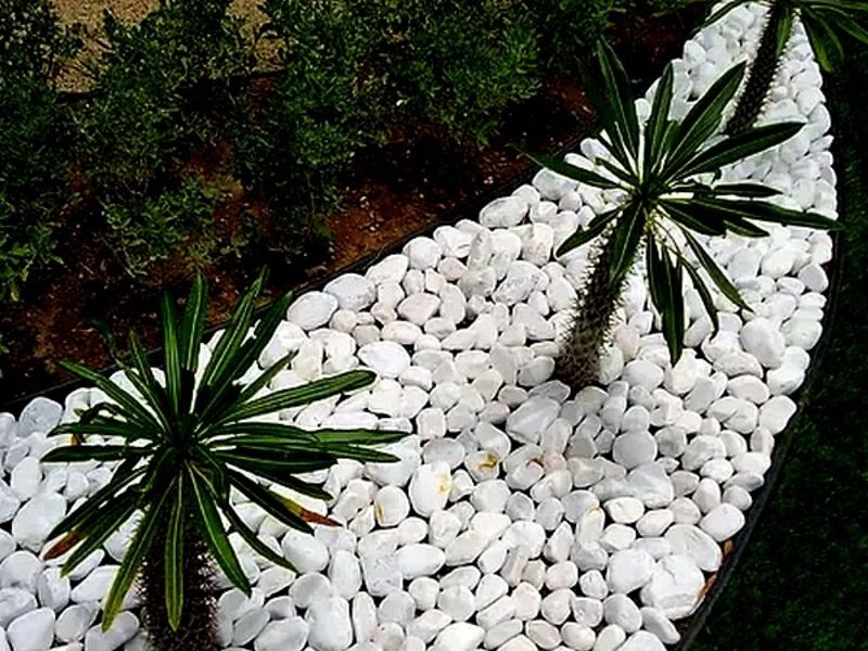 Diseño Jardineras Sinaloa 