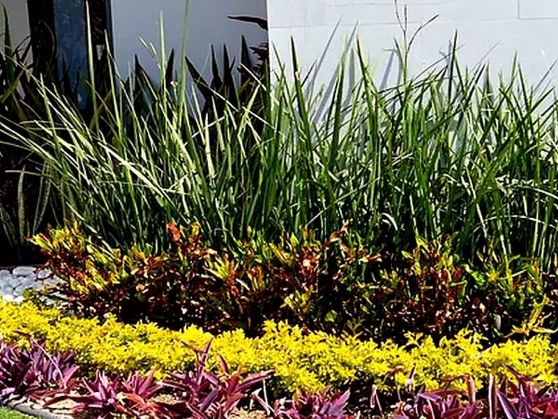 Jardin Exterior Sinaloa