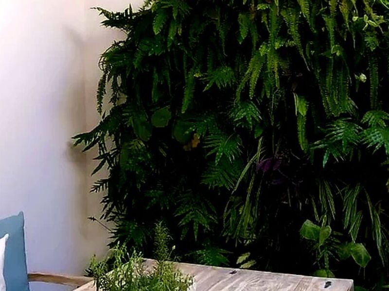 Jardin Interior Sinaloa