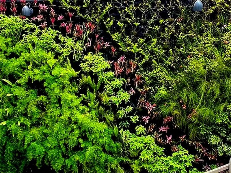 Jardineras Verticales Sinaloa 