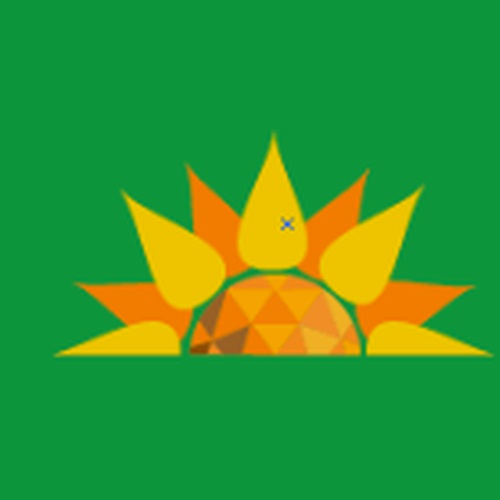 CALENTADORES SOLAR GIRASOLES