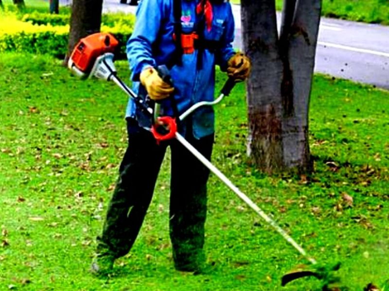 Limpieza Áreas verdes Tehuantepec