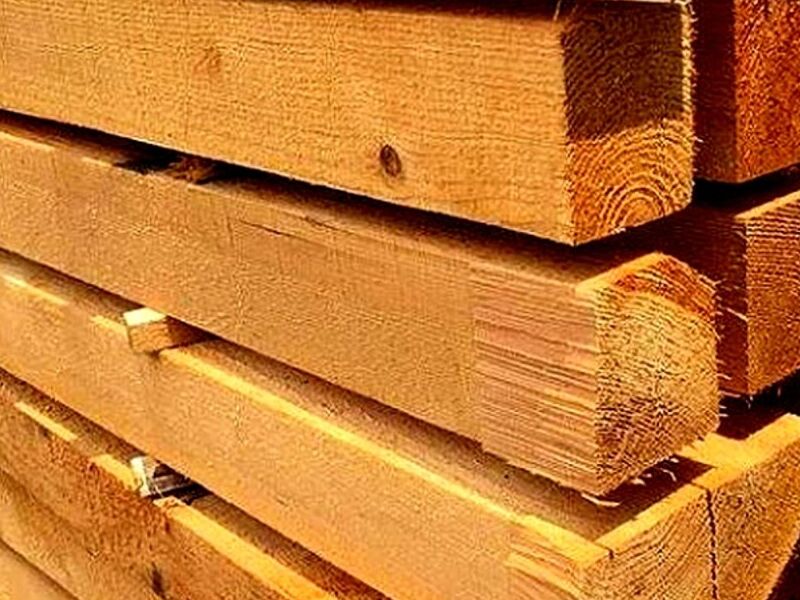 Polines Madera México