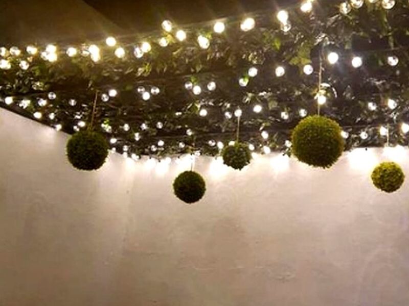 Plantas Colgantes Led Mexico