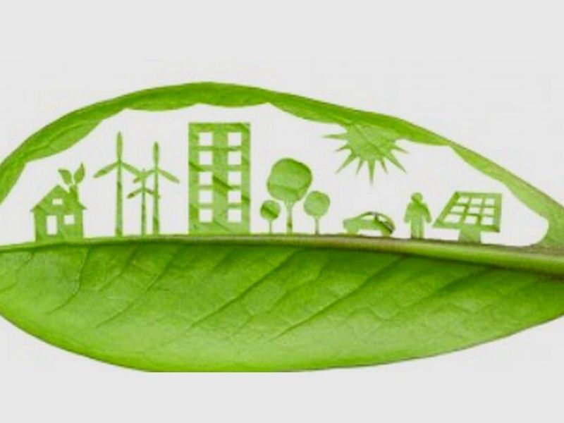 Diseño ambiental Torreón 