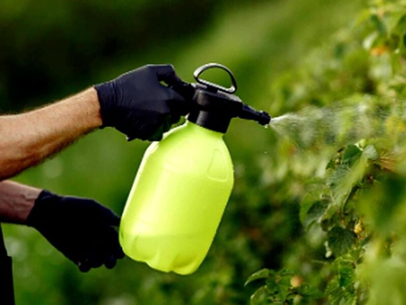 Insecticida Toliman