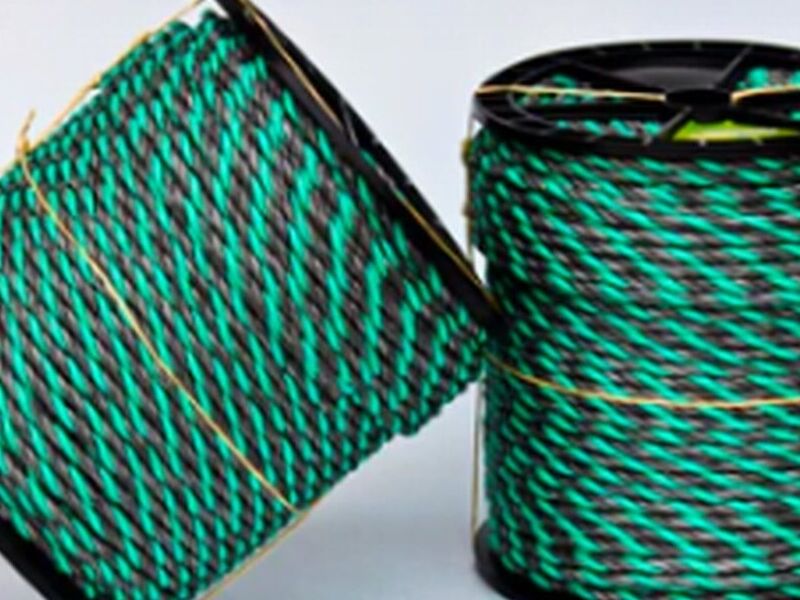 Soga Chihuahua