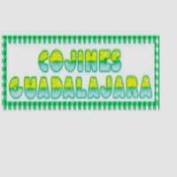 Cojines Guadalajara