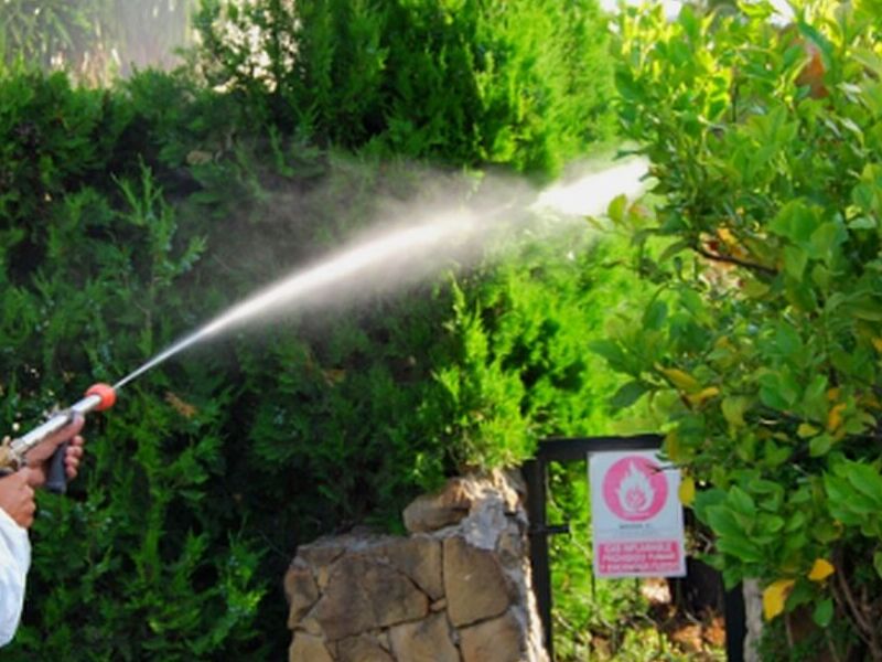 Fumigacion jardin o areas verdes México