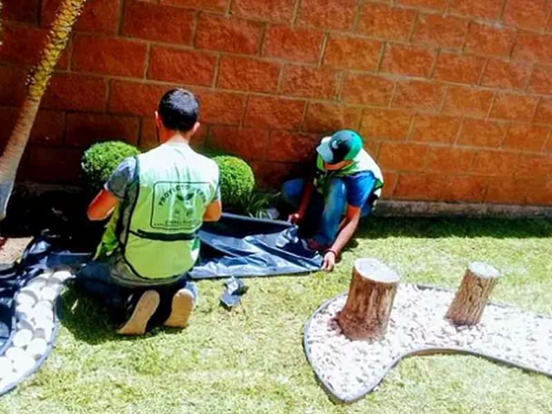 Diseño de jardines Mexico Ciudad de Juarez 
