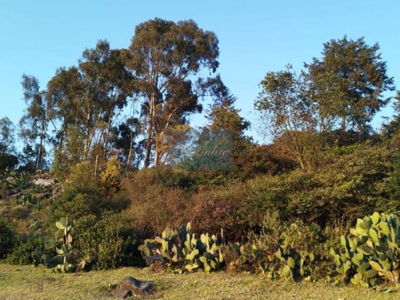 Venta terreno Villa Victoria