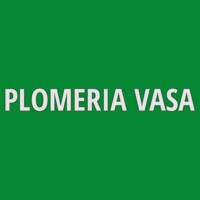 PLOMERIA VASA