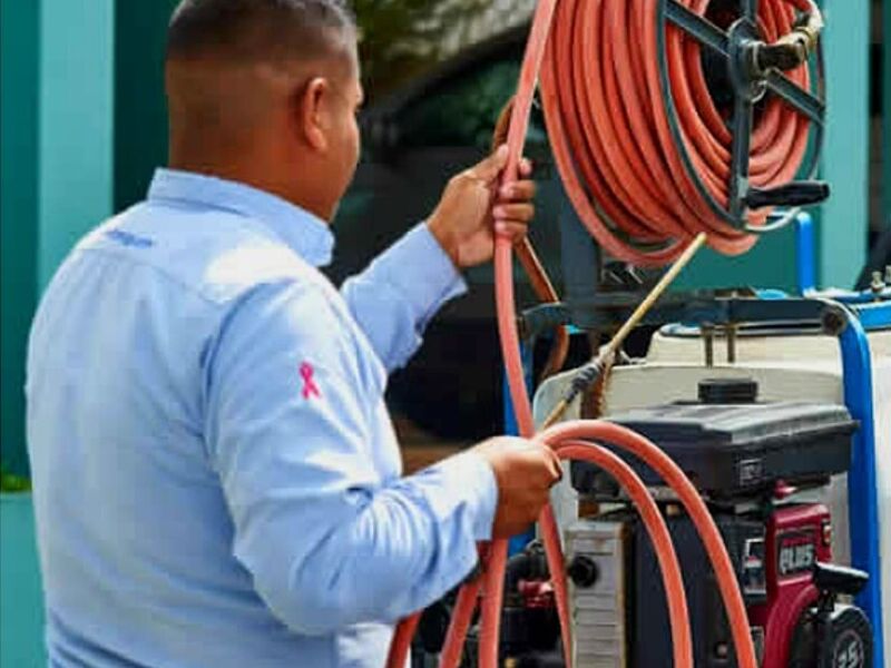 Control Termitas México