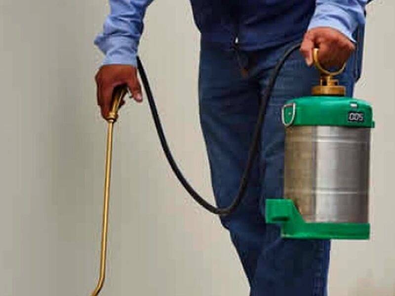 Fumigación Poliza Bimestral México