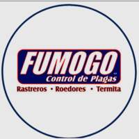 Fumogo