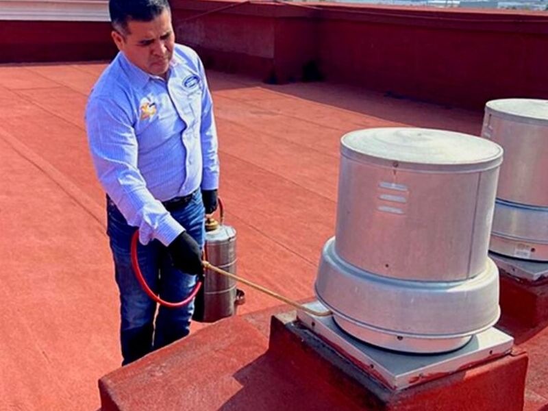 Fumigación Roedores México