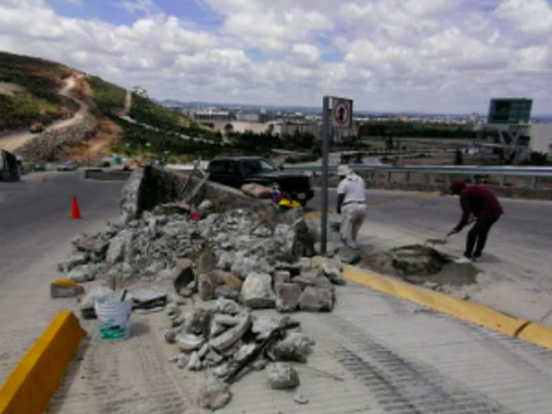 Reparación jardinería Mexico