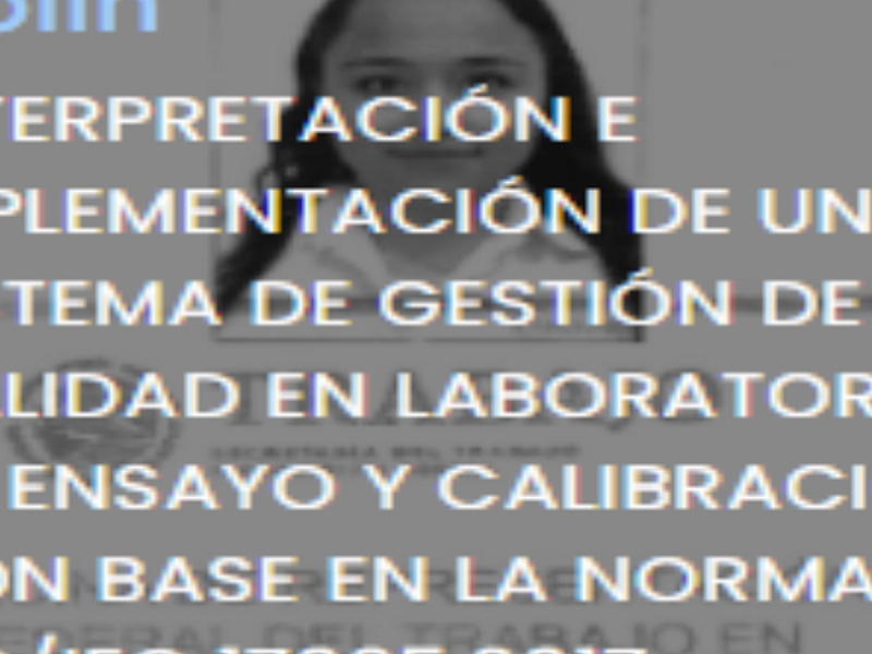 INTERPRETACIÓN E IMPLEMENTACIÓN ECATEPEC