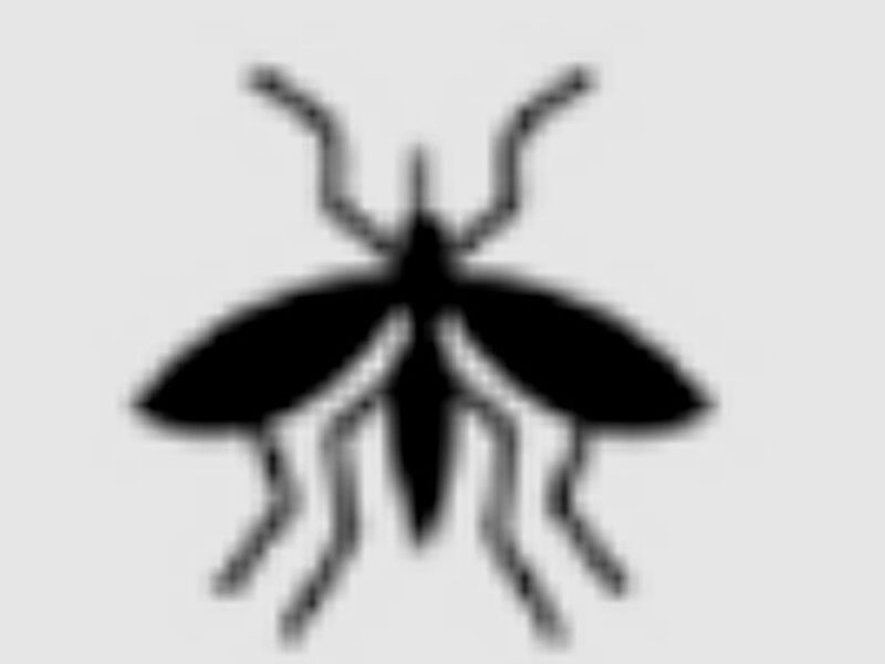 Control mosquito México