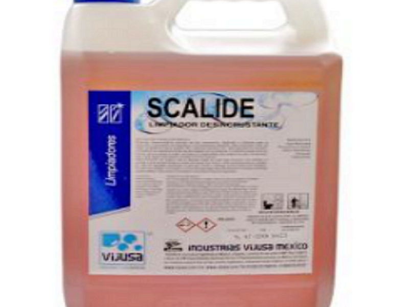 Sarricida Scalide Puerto Vallarta 