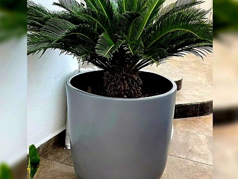 Maceta Gigante Gris Mexico