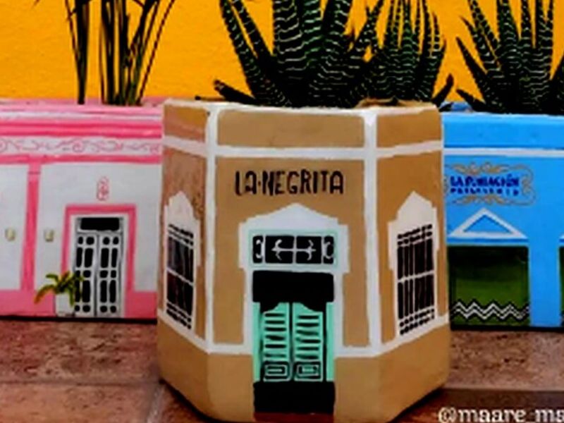 Maceta Ilustrativas Mexico