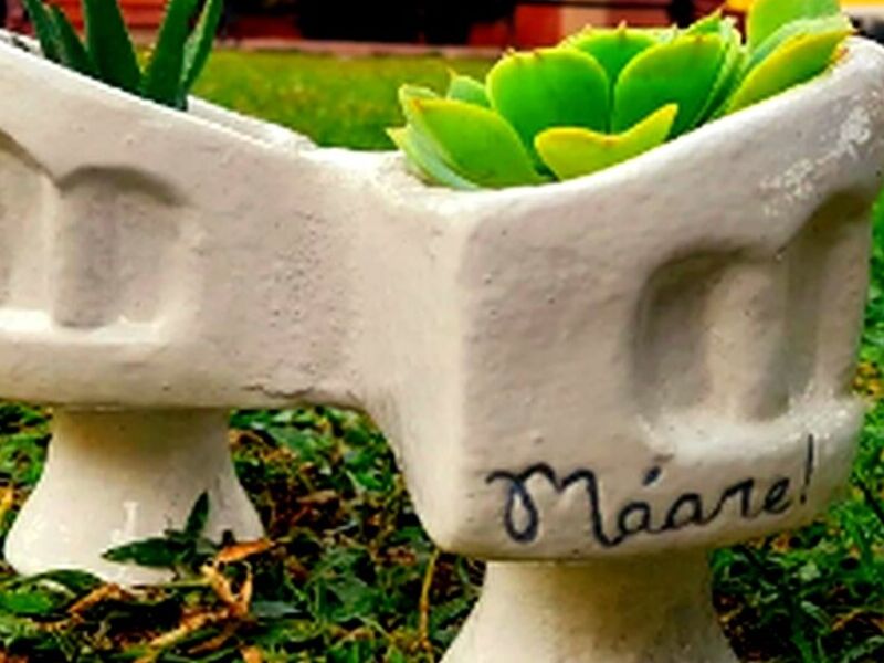Maceta Historia Amor Mexico