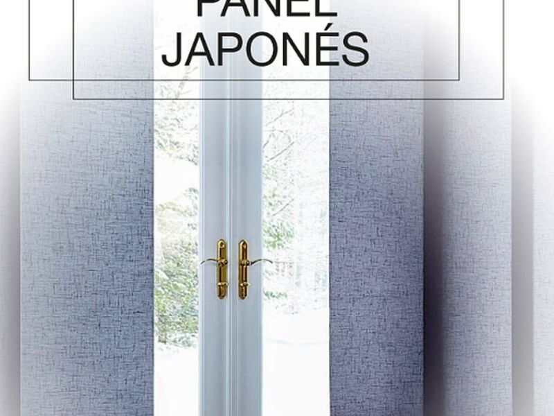 Panel Japones Mexico