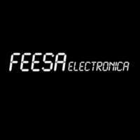 FEESA ELECTRONICA