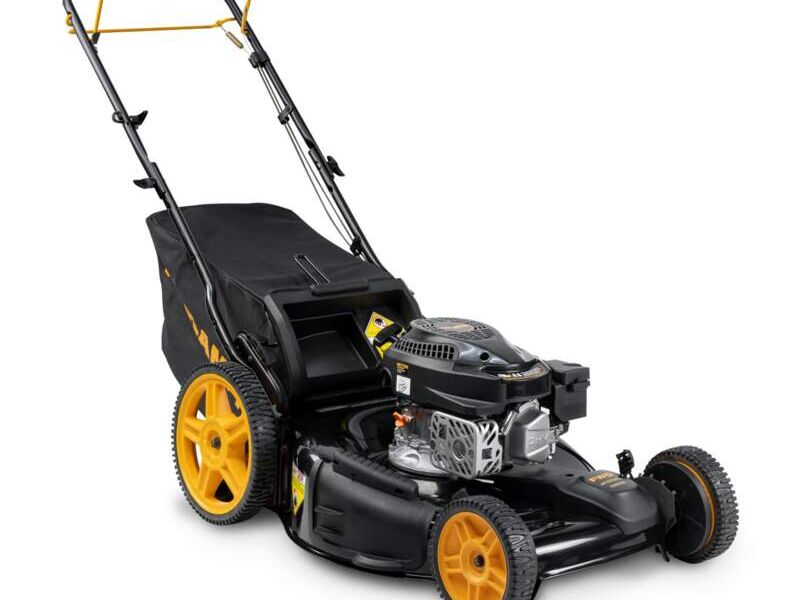 Podadora 3 en 1 22" FWD México