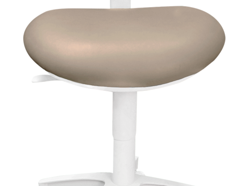Silla o banquillo dental