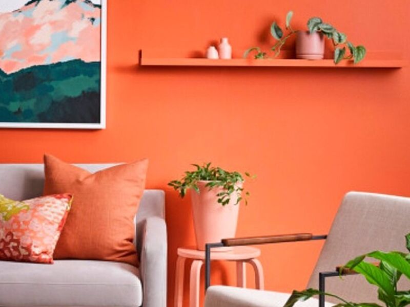 Pintura Coral Mexico