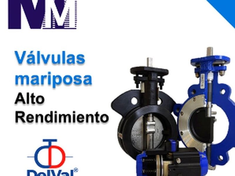 Válvula Santa Catarina
