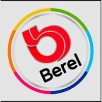 Pinturas Berel Tultepec