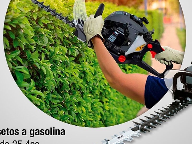 Cortasetos Gasolina  Tenango Valle