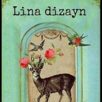 Lina Dizayn