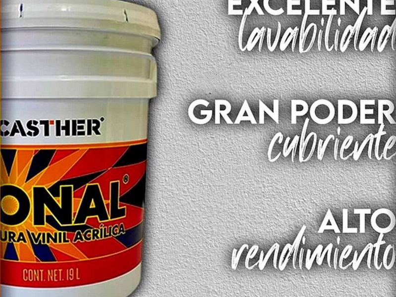 PINTURA VINILICA PLASTICA TONAL JEREZ