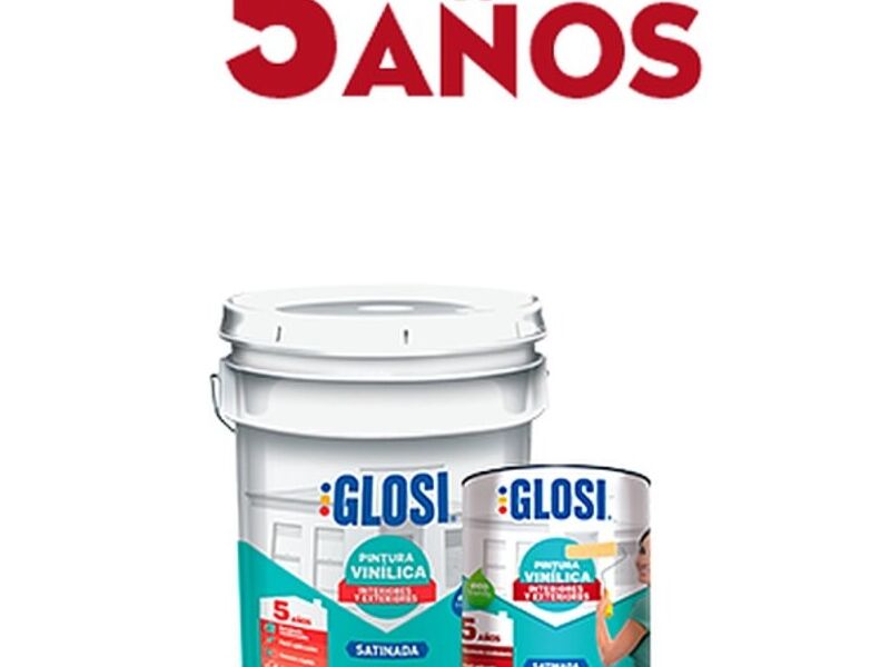 PINTURA VINILICA 5 AÑOS VG-5000 Mexico