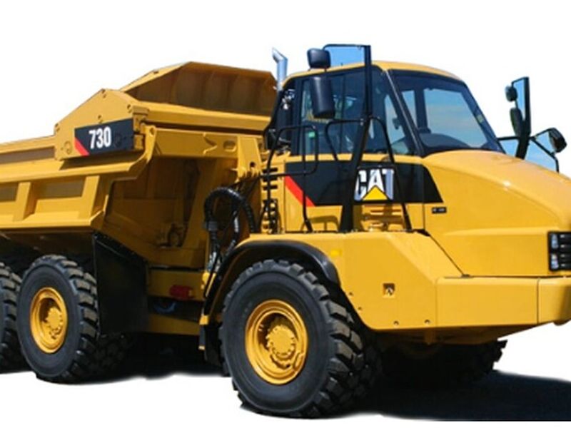 Articulados Chihuahua