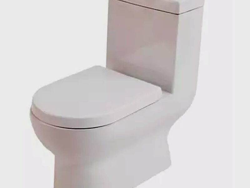 Sanitario Wc One Piece México