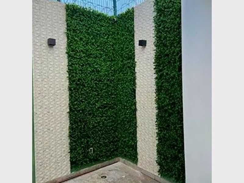 Fachadas interiores 