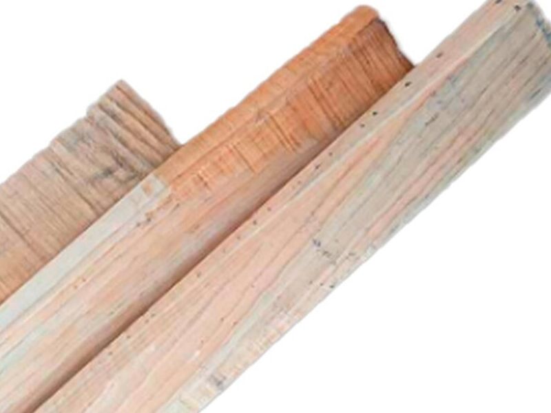 Can de Madera Tequixquiac