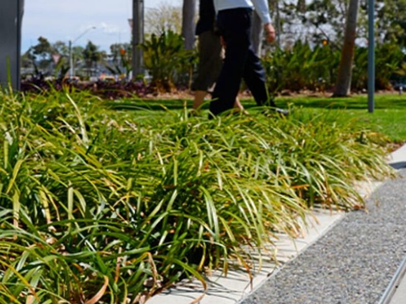 EcoPanel Tijuana