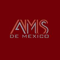 AMS de México SRL de CV