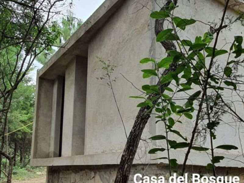 DISEÑO CASA BOSQUE COMITAN