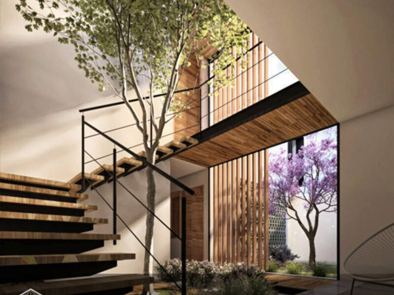 DISEÑO JARDIN INTERIOR SAN CRISTOBAL